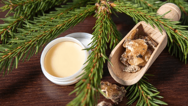 Натурална смола от Picea abies (смърч)